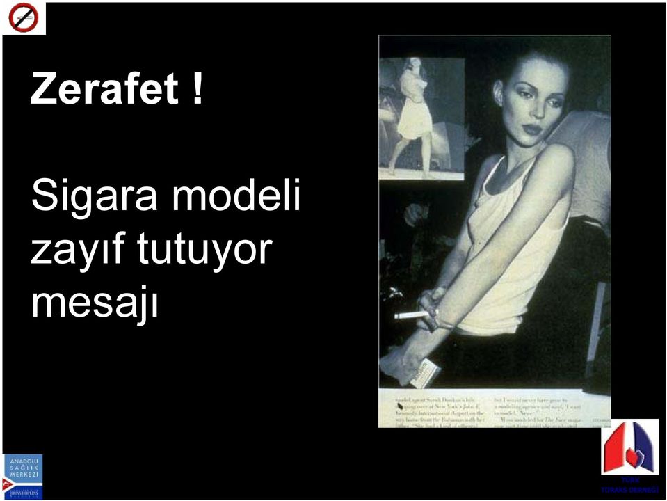 modeli