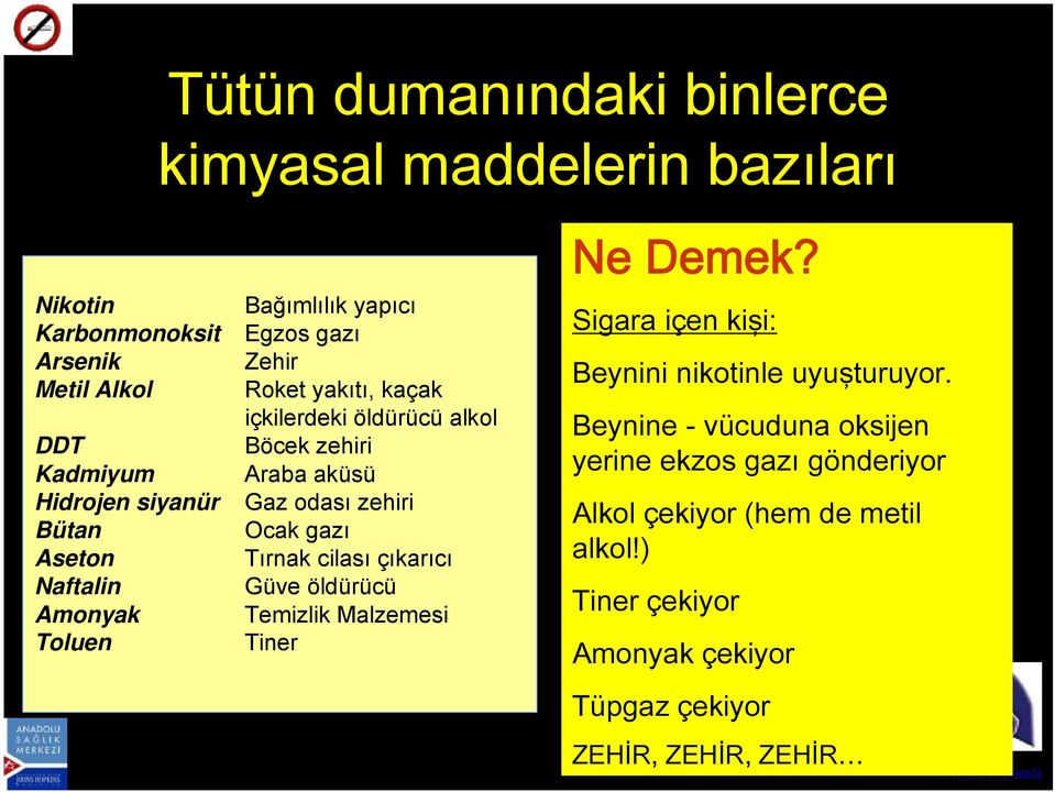 zehiri Ocak gazı Tırnak cilası çıkarıcı Güve öldürücü Temizlik Malzemesi Tiner Ne Demek? Sigara içen kişi: Beynini nikotinle uyuşturuyor.