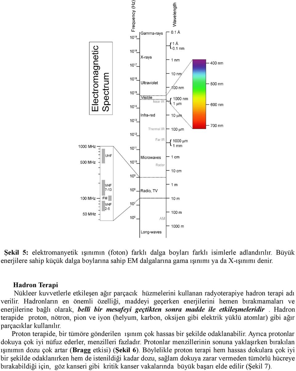 Hadronların en önemli özelliği, maddeyi geçerken enerjilerini hemen bırakmamaları ve enerjilerine bağlı olarak, belli bir mesafeyi geçtikten sonra madde ile etkileşmeleridir.