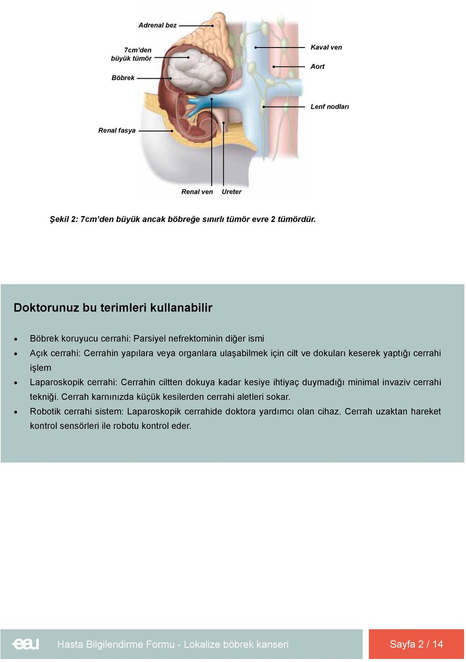 dokuları keserek yaptığı cerrahi işlem Laparoskopik cerrahi: Cerrahin ciltten dokuya kadar kesiye ihtiyaç duymadığı minimal invaziv cerrahi tekniği.