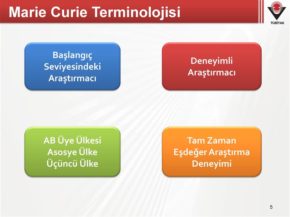 Araştırmacı AB Üye Ülkesi Asosye Ülke