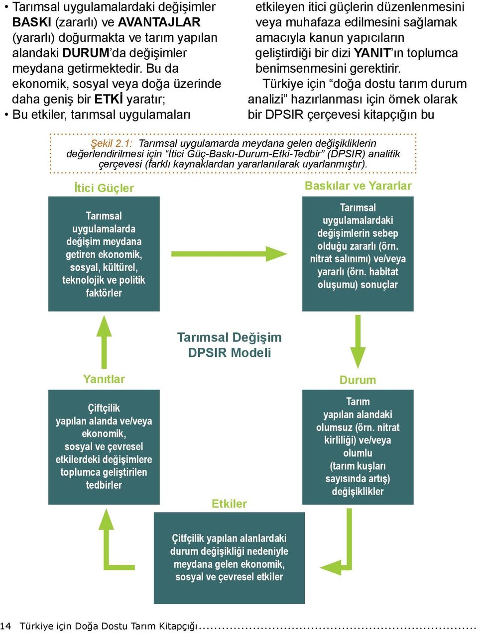 yapıcıların geliştirdiği bir dizi YANIT ın toplumca benimsenmesini gerektirir. Türkiye için doğa dostu tarım durum analizi hazırlanması için örnek olarak bir DPSIR çerçevesi kitapçığın bu Şekil 2.