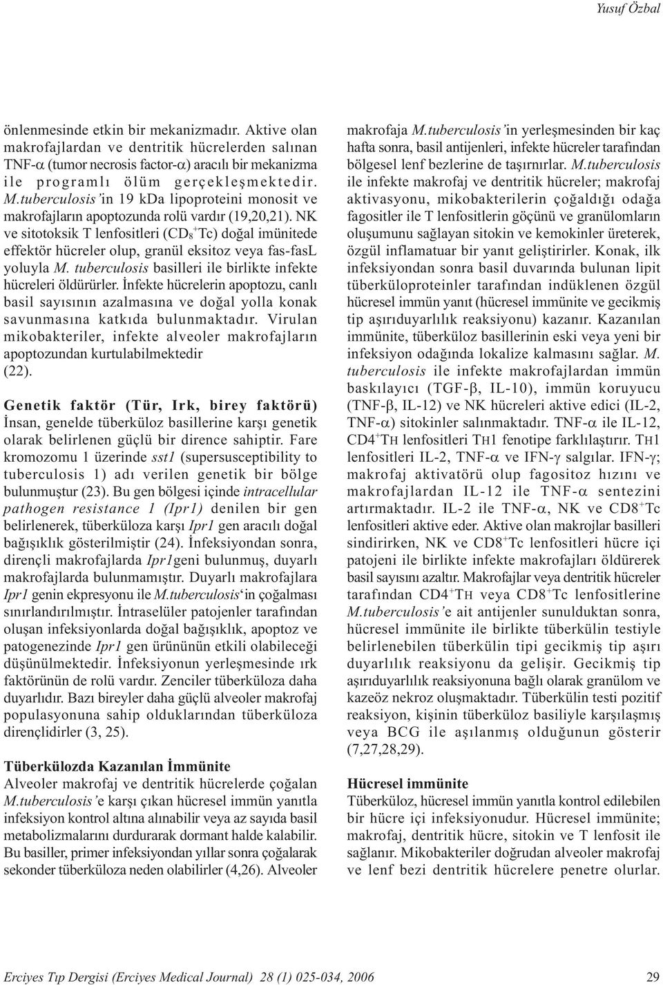 NK ve sitotoksik T lenfositleri (CD 8 + Tc) doðal imünitede effektör hücreler olup, granül eksitoz veya fas-fasl yoluyla M. tuberculosis basilleri ile birlikte infekte hücreleri öldürürler.