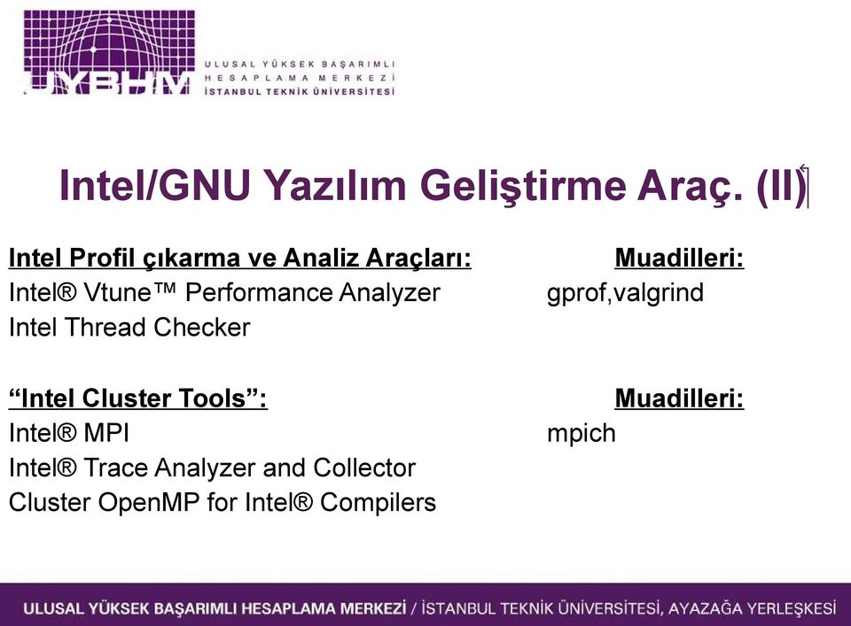 Analyzer Intel Thread Checker Intel Cluster Tools : Intel MPI Intel