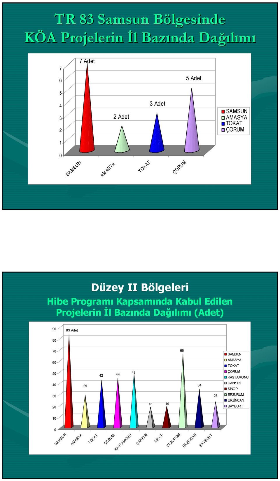 İl Bazında Dağılımı (Adet) 90 83 Adet 80 70 60 50 40 30 20 29 42 44 48 18 19 66 34 23 AMASYA