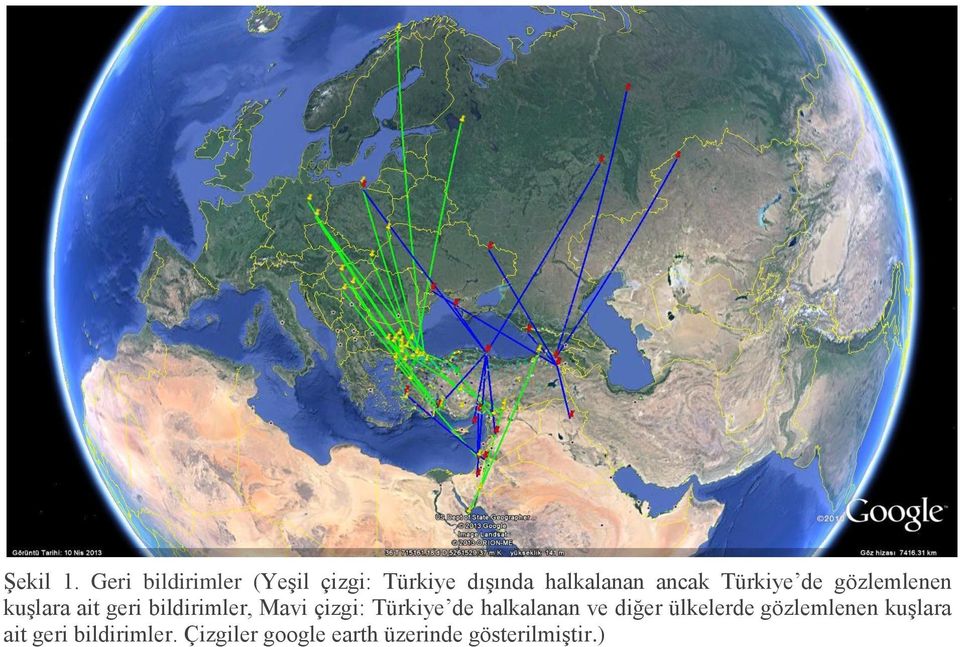 Türkiye de gözlemlenen kuşlara ait geri bildirimler, Mavi çizgi: