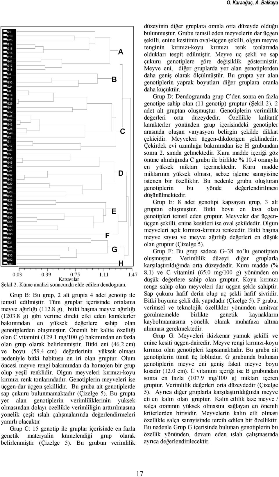 G31 G34 G20 G35 G52 G30 0.03 0.39 0.75 1.11 1.47 Katsayılar Şekil 2. Küme analizi sonucunda elde edilen dendogram. Grup B: Bu grup, 2 alt grupta 4 adet genotip ile temsil edilmiştir.