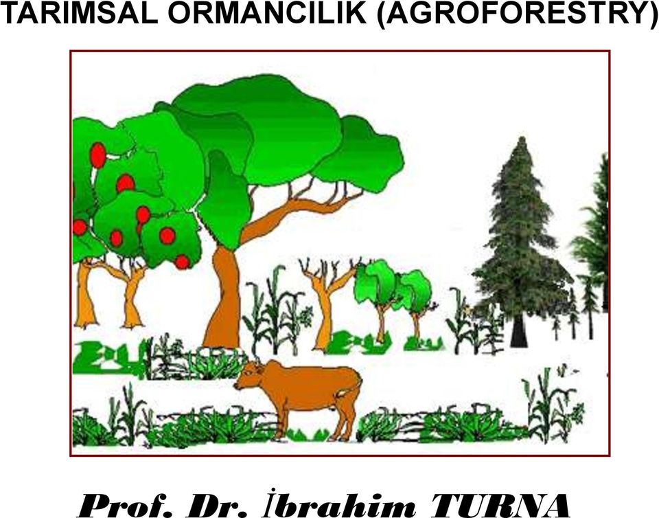 (AGROFORESTRY)