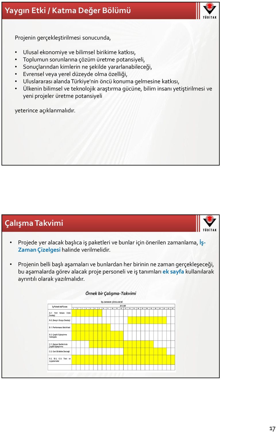 yetiştirilmesi ve yeni projeler üretme potansiyeli yeterince açıklanmalıdır.