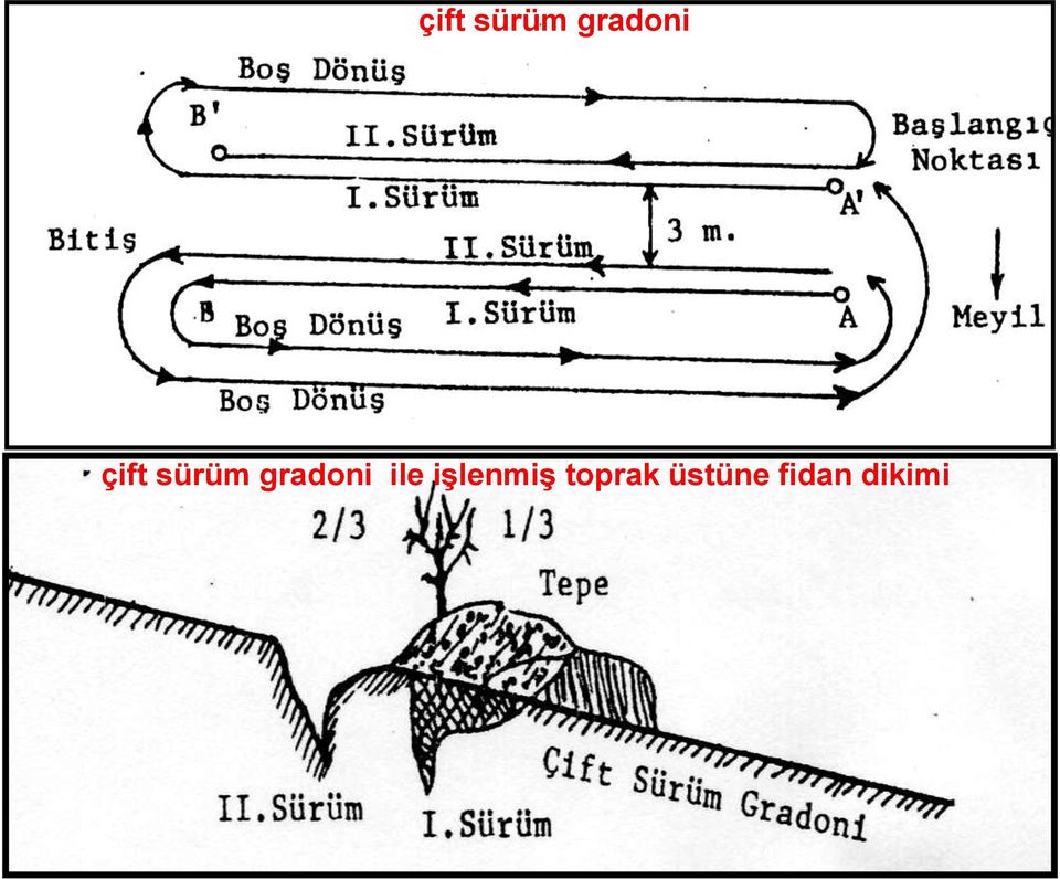 üstüne fidan dikimi