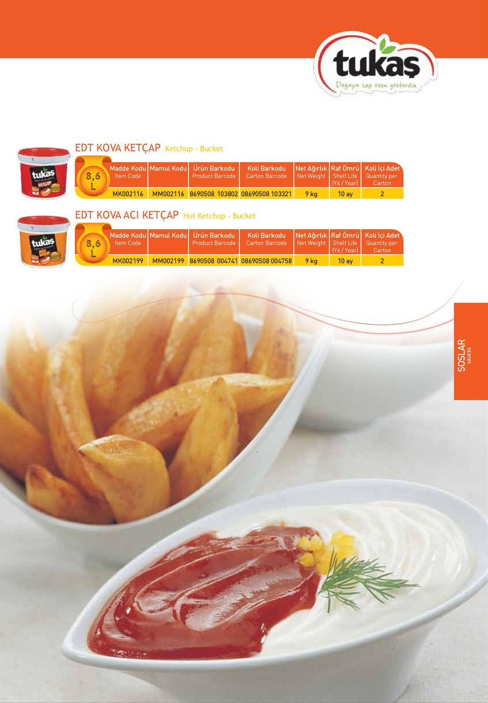 ACI KETÇAP Hot Ketchup - Bucket MK002199 MM002199