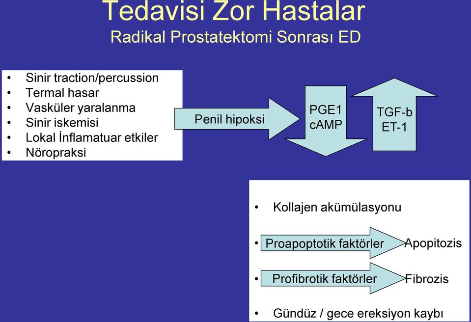 İnflamatuar etkiler Nöropraksi Penil hipoksi PGE1 camp TGF-b ET-1 Kollajen