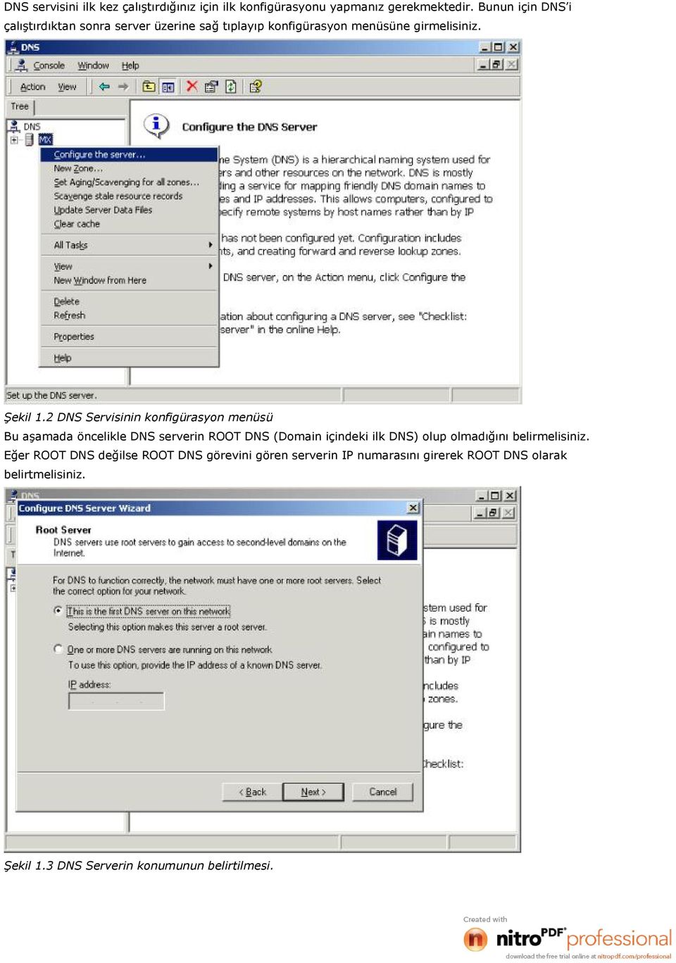 2 DNS Servisinin konfigürasyon menüsü Bu aşamada öncelikle DNS serverin ROOT DNS (Domain içindeki ilk DNS) olup olmadığını