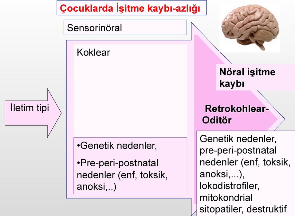 nedenler (enf, toksik, anoksi,.