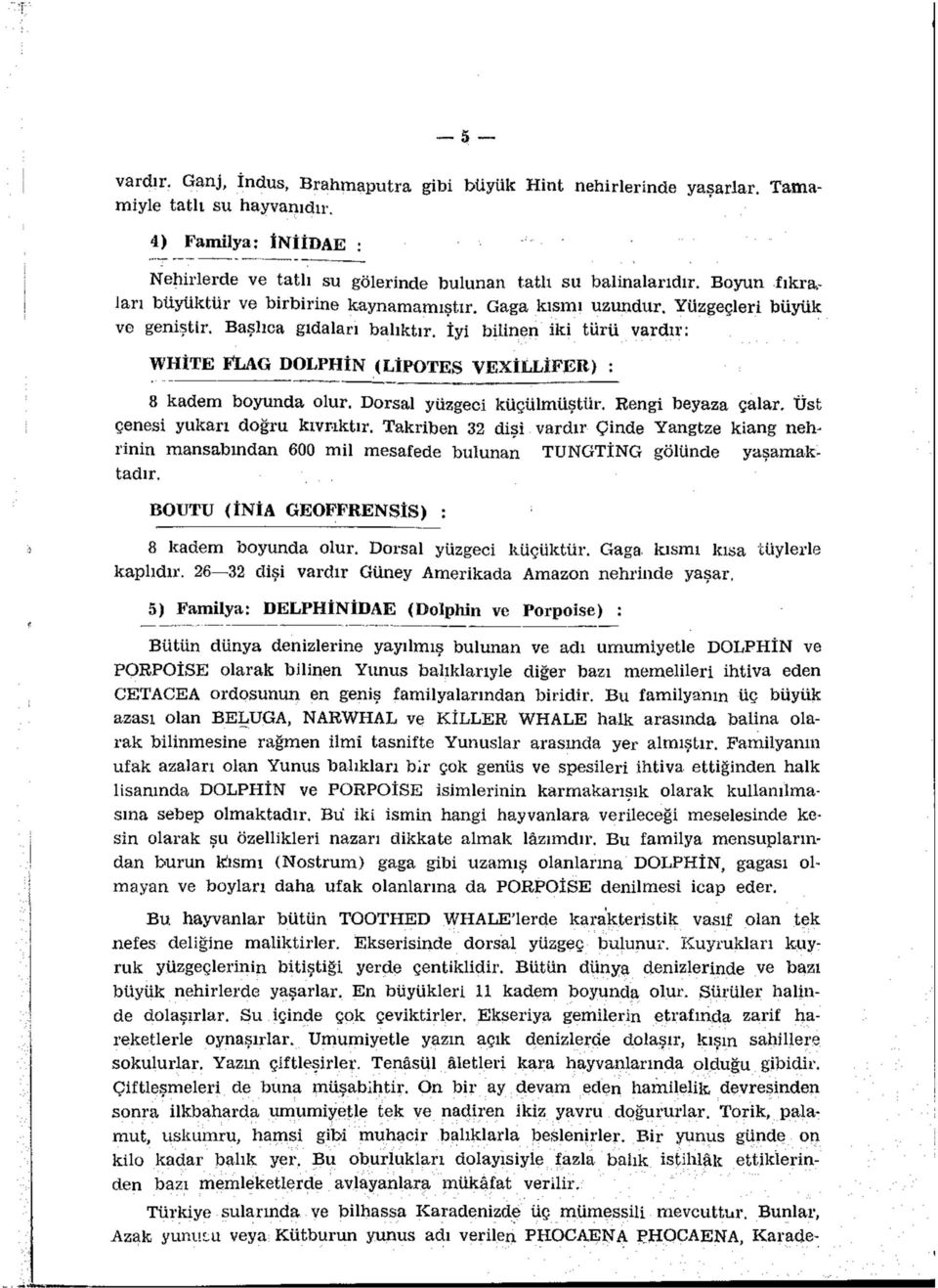 İyi bilinen iki türü vardır: WHITE FLAG DOLPHÎN (LİPOTES VEXİLLİFEK) : 8 kadem boyunda olur. Dorsal yüzgeci küçülmüştür. Rengi beyaza çalar. Üst çenesi yukarı doğru kıvrıktır.