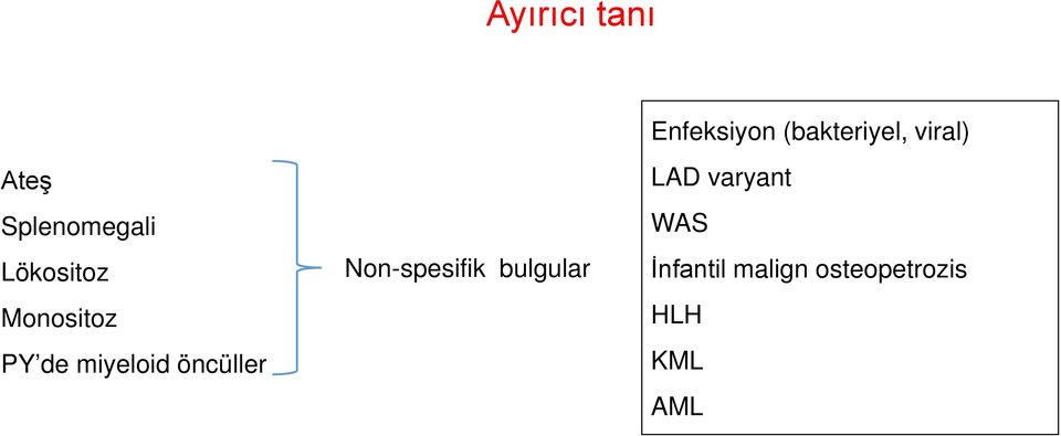 miyeloid öncüller Non-spesifik bulgular LAD