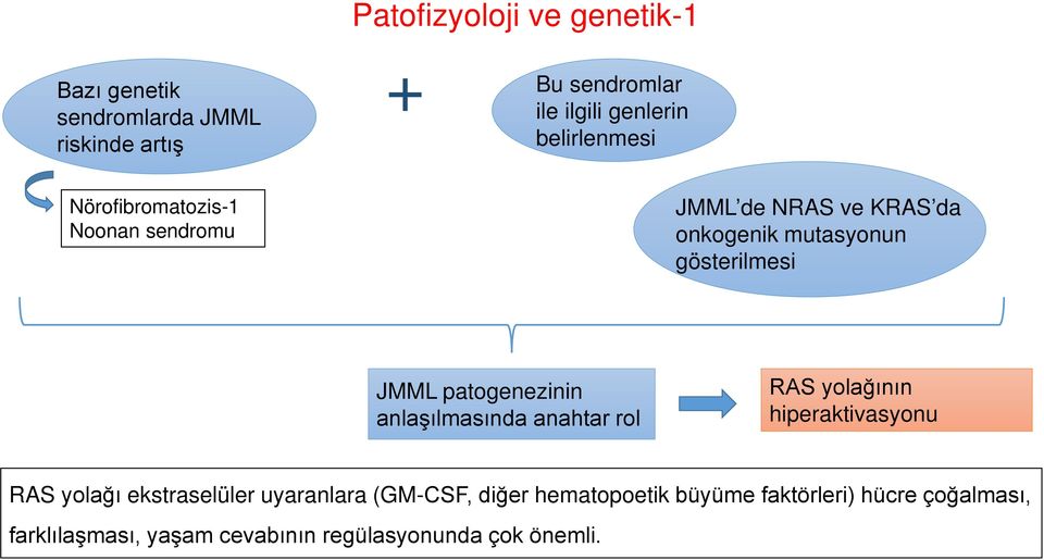 patogenezinin anlaşılmasında anahtar rol RAS yolağının hiperaktivasyonu RAS yolağı ekstraselüler uyaranlara