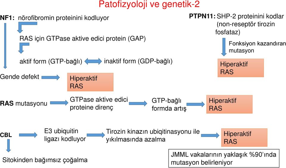 mutasyon Hiperaktif RAS RAS mutasyonu GTPase aktive edici proteine direnç GTP-bağlı formda artış Hiperaktif RAS CBL E3 ubiquitin ligazı