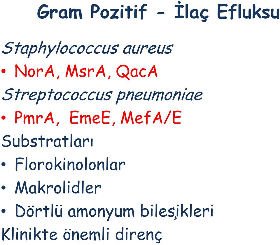 EmeE, MefA/E Substratları Florokinolonlar