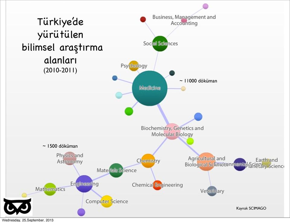 alanları (2010-2011) ~