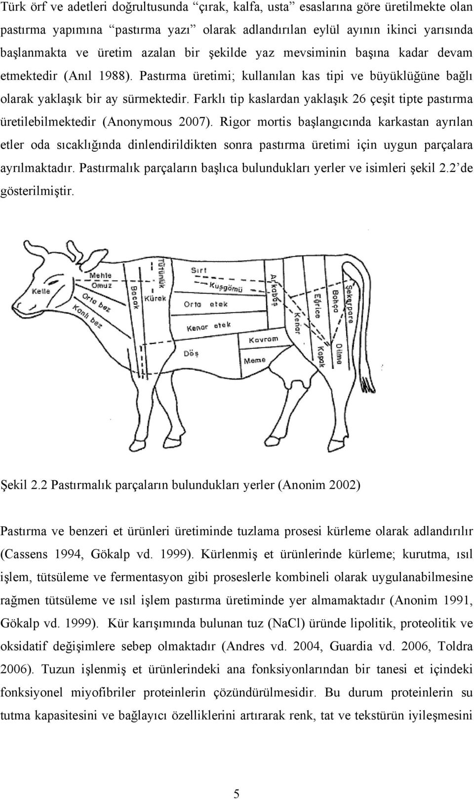 Farklı tip kaslardan yaklaşık 26 çeşit tipte pastırma üretilebilmektedir (Anonymous 2007).