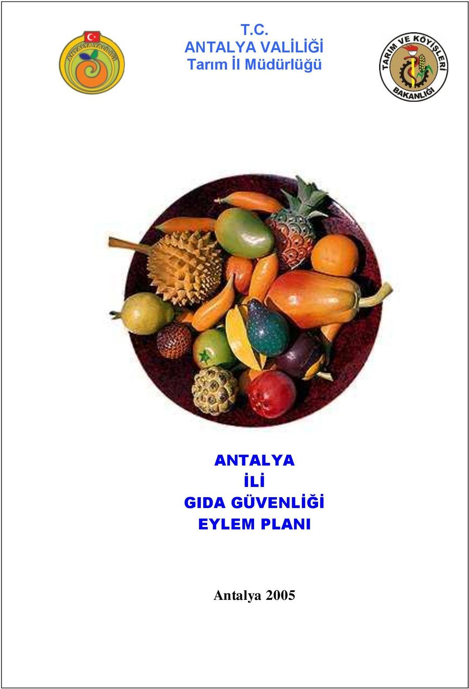 ANTALYA İLİ GIDA