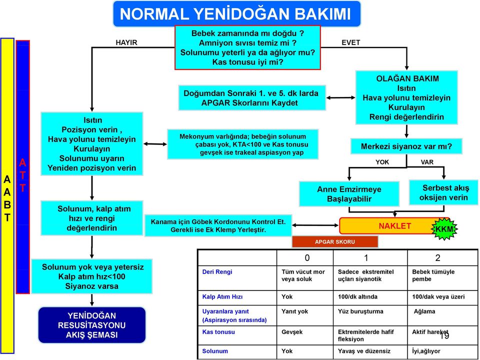 dk larda PG Skorlarını aydet ekonyum varlığında; ğ bebeğin b solunum çabası yok, <100 ve as tonusu gevşek ise trakeal aspiasyon yap anama için Göbek ordonunu ontrol t. Gerekli ise k lemp Yerleştir.