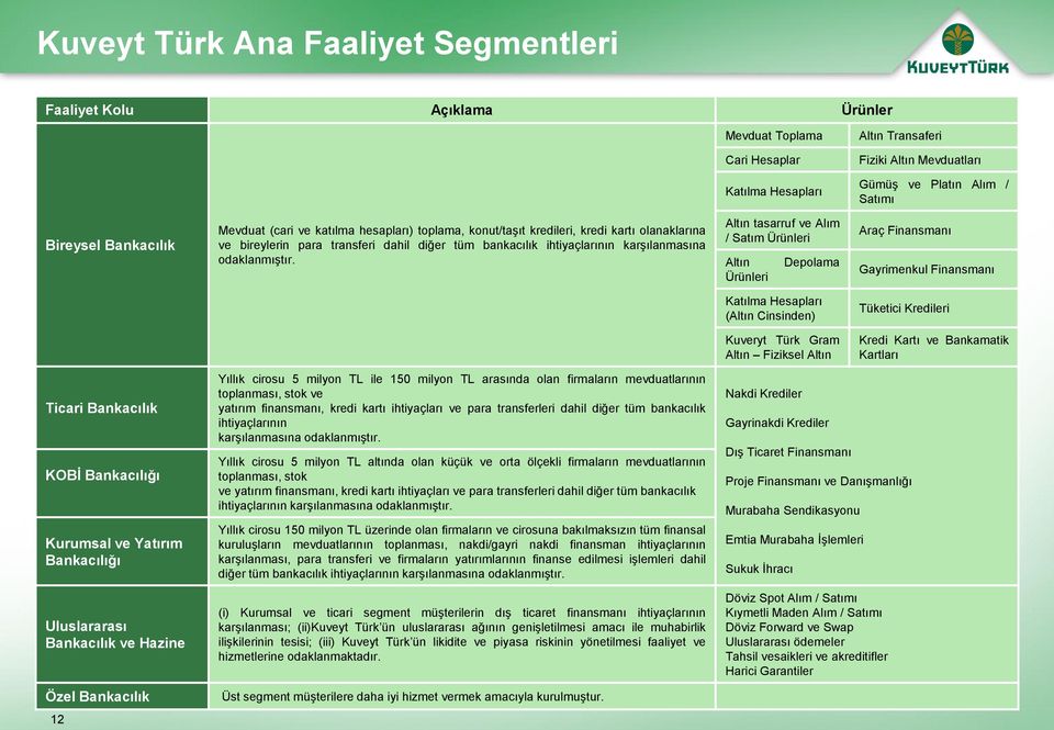 odaklanmıştır.