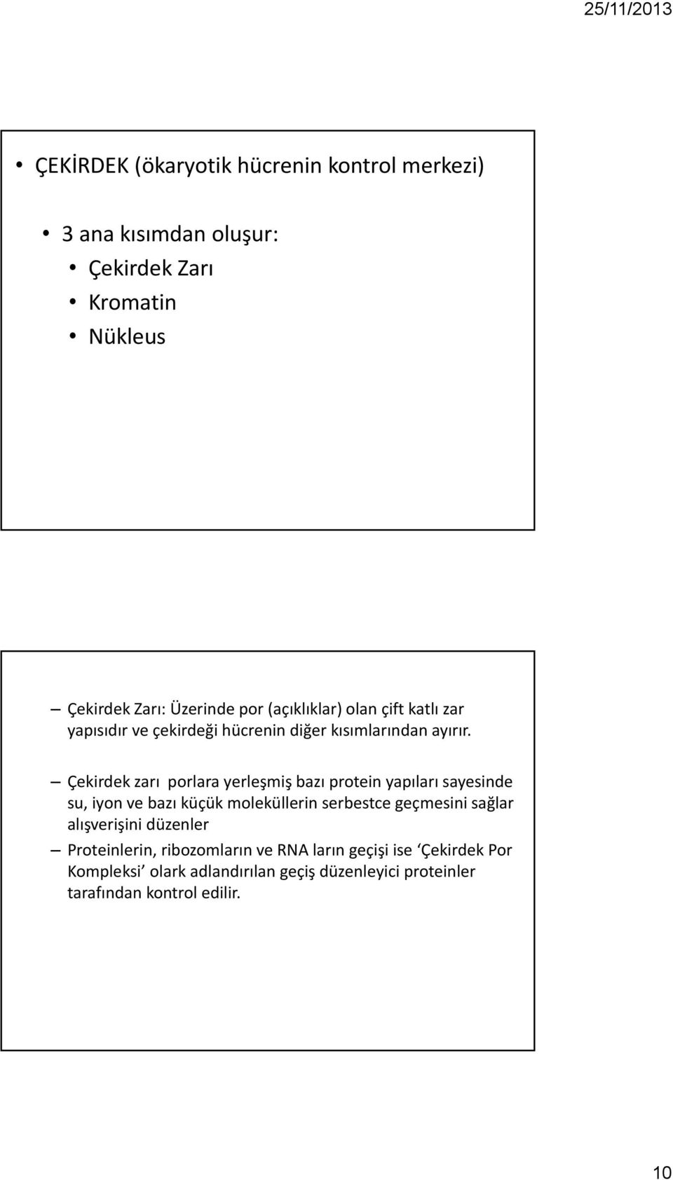 Çekirdek zarı porlara yerleşmiş bazı protein yapıları sayesinde su, iyon ve bazı küçük moleküllerin serbestce geçmesini sağlar