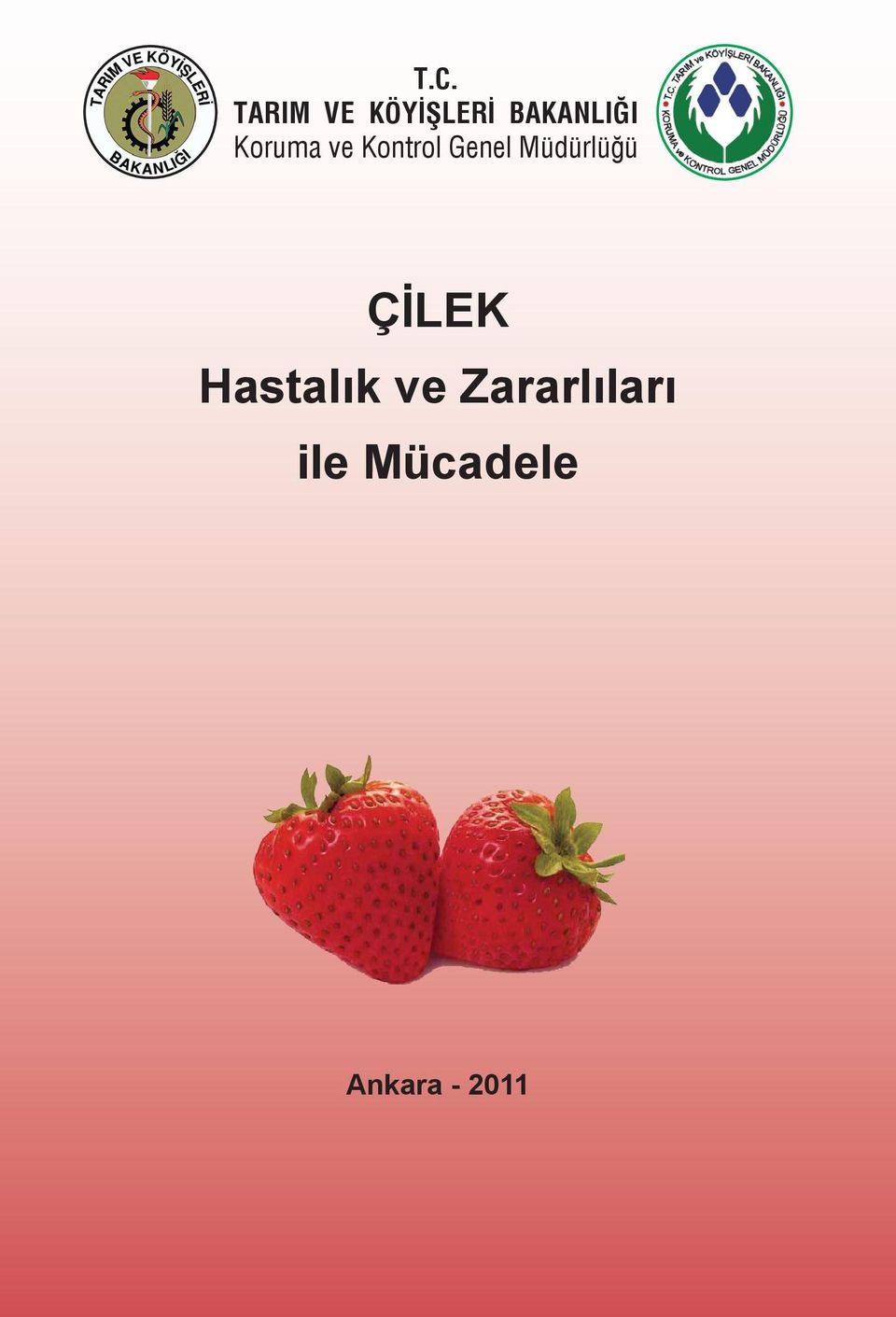 Genel Müdürlüğü ÇİLEK Hastalık