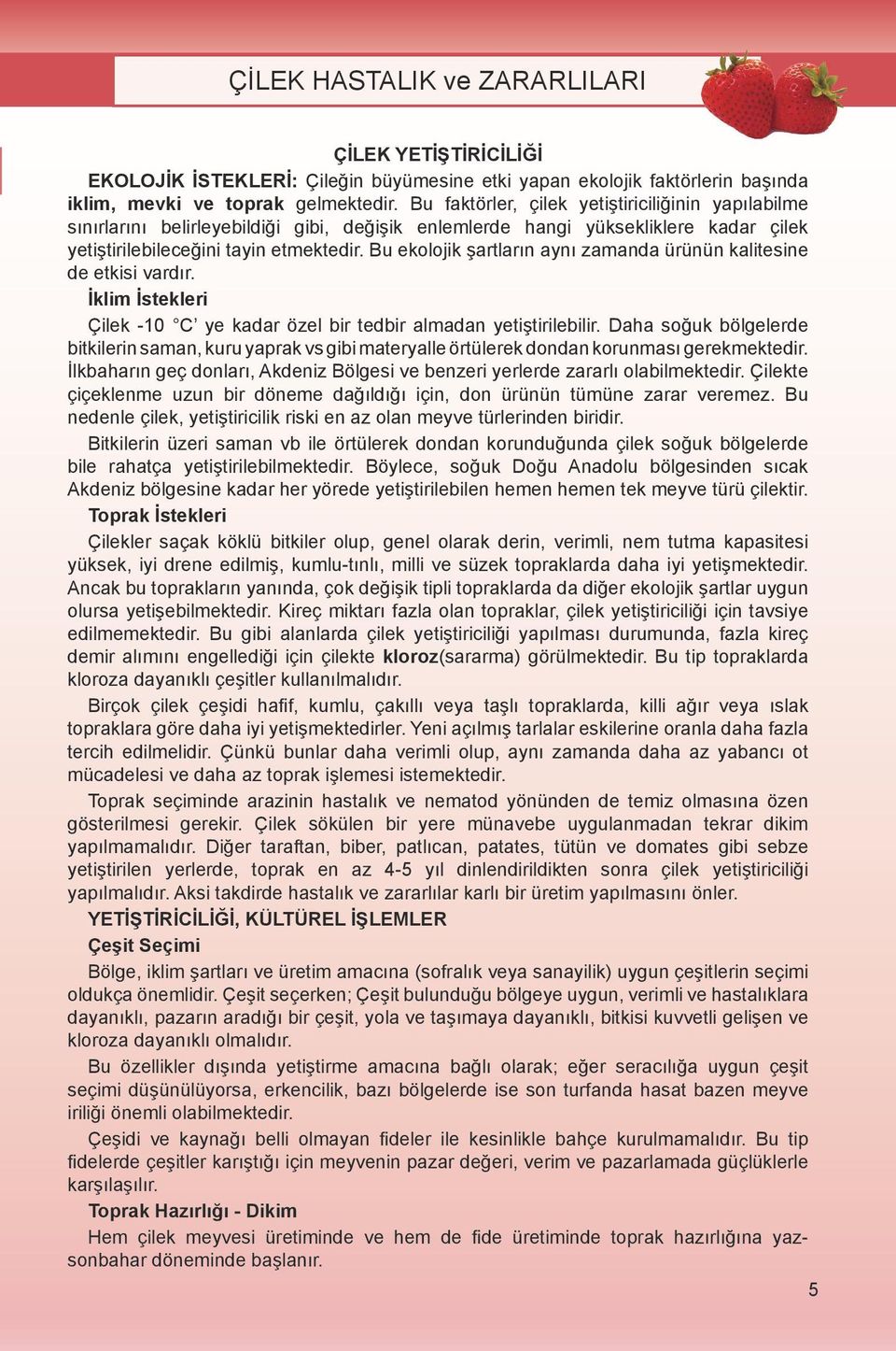 Bu ekolojik şartların aynı zamanda ürünün kalitesine de etkisi vardır. İklim İstekleri Çilek -10 C ye kadar özel bir tedbir almadan yetiştirilebilir.