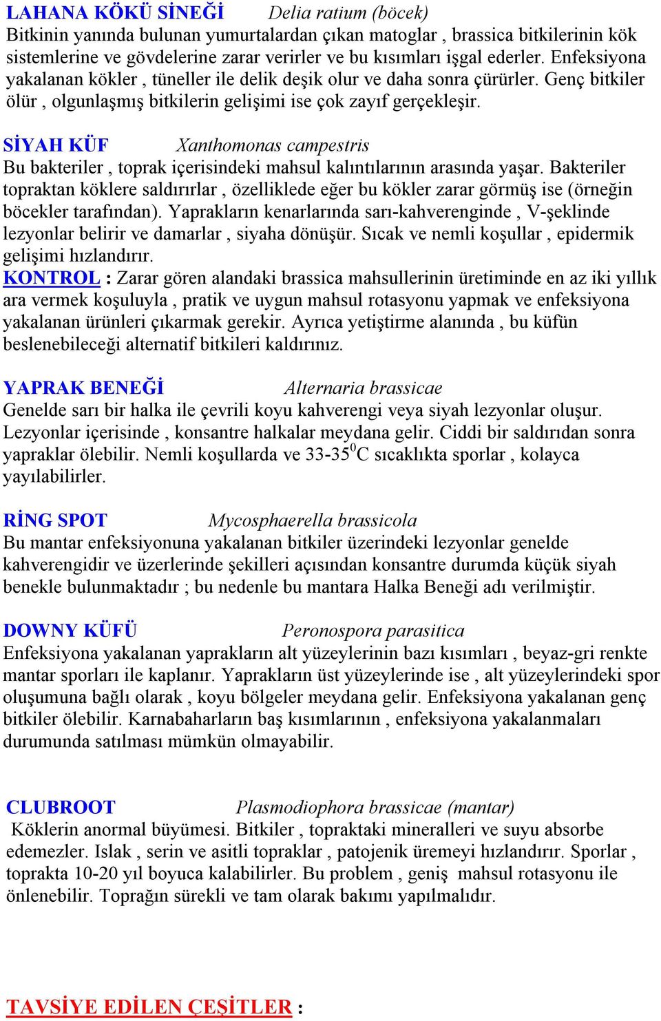 SİYAH KÜF Xanthomonas campestris Bu bakteriler, toprak içerisindeki mahsul kalıntılarının arasında yaşar.