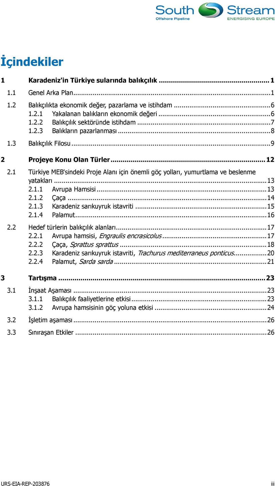 1.1 Avrupa Hamsisi... 13 2.1.2 Çaça... 14 2.1.3 Karadeniz sarıkuyruk istavriti... 15 2.1.4 Palamut... 16 2.2 Hedef türlerin balıkçılık alanları... 17 2.2.1 Avrupa hamsisi, Engraulis encrasicolus.