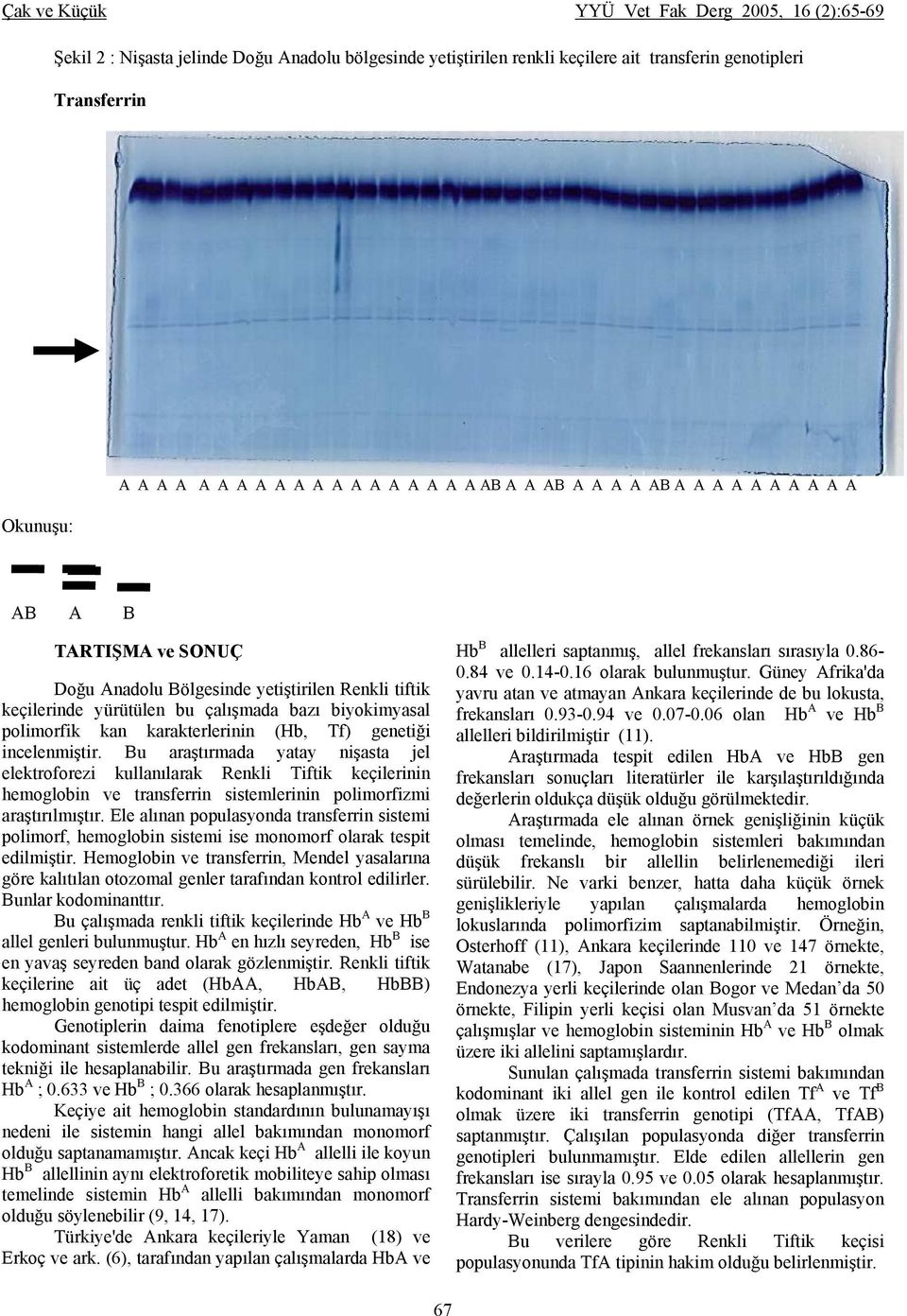 Bu araştırmada yatay nişasta jel elektroforezi kullanılarak Renkli Tiftik keçilerinin hemoglobin ve transferrin sistemlerinin polimorfizmi araştırılmıştır.