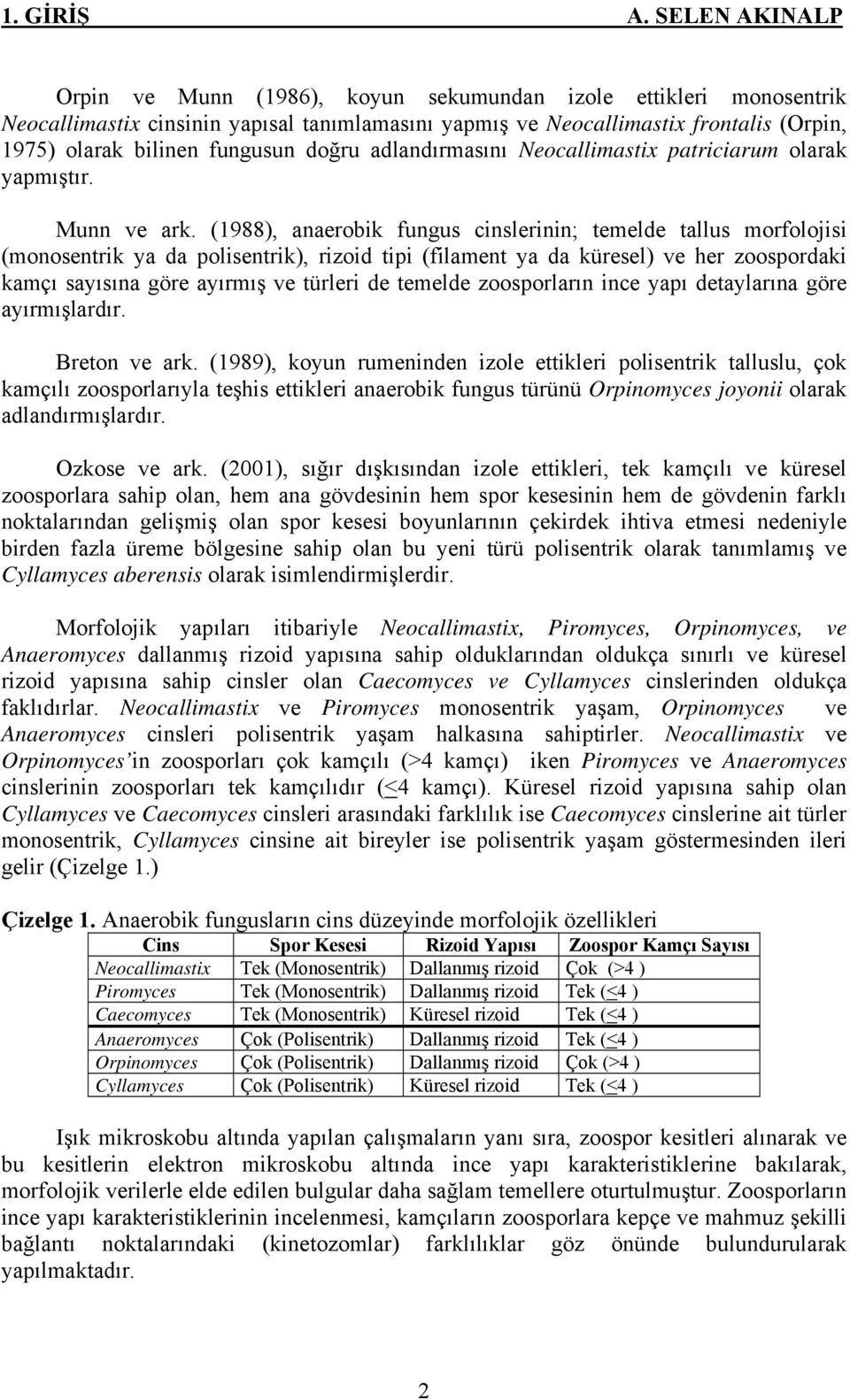 doğru adlandırmasını Neocallimastix patriciarum olarak yapmıştır. Munn ve ark.