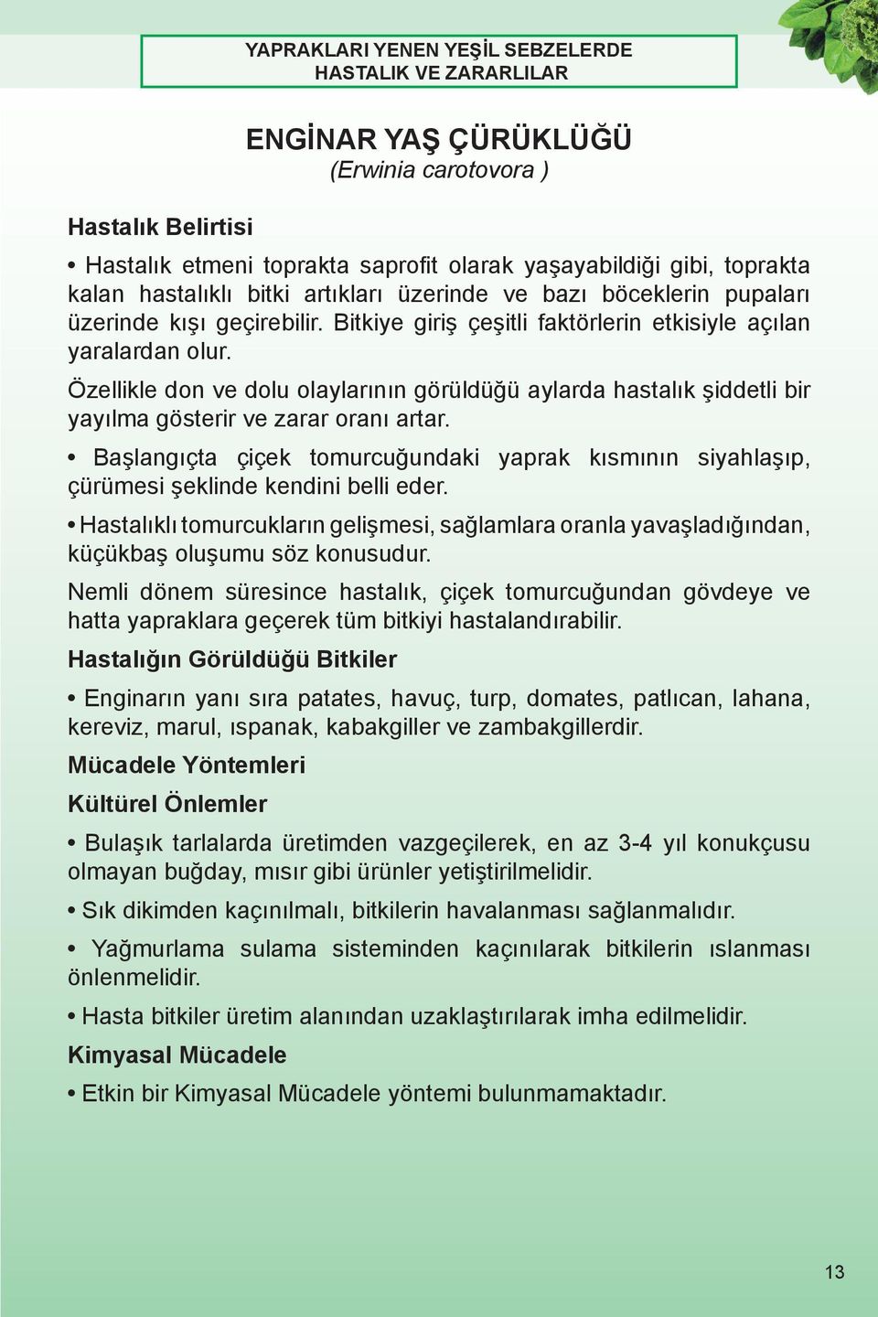 Özellikle don ve dolu olaylarının görüldüğü aylarda hastalık şiddetli bir yayılma gösterir ve zarar oranı artar.