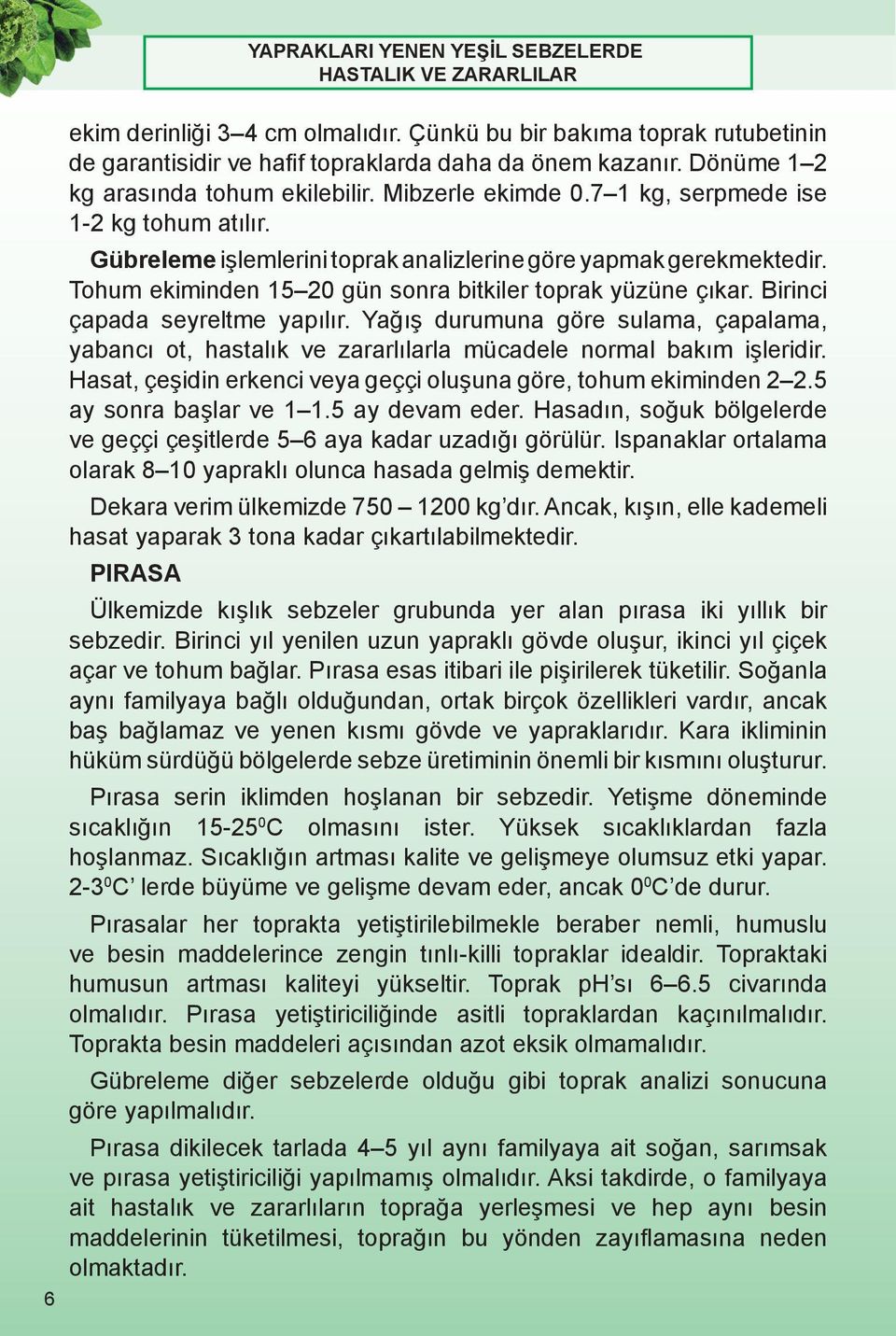 Birinci çapada seyreltme yapılır. Yağış durumuna göre sulama, çapalama, yabancı ot, hastalık ve zararlılarla mücadele normal bakım işleridir.