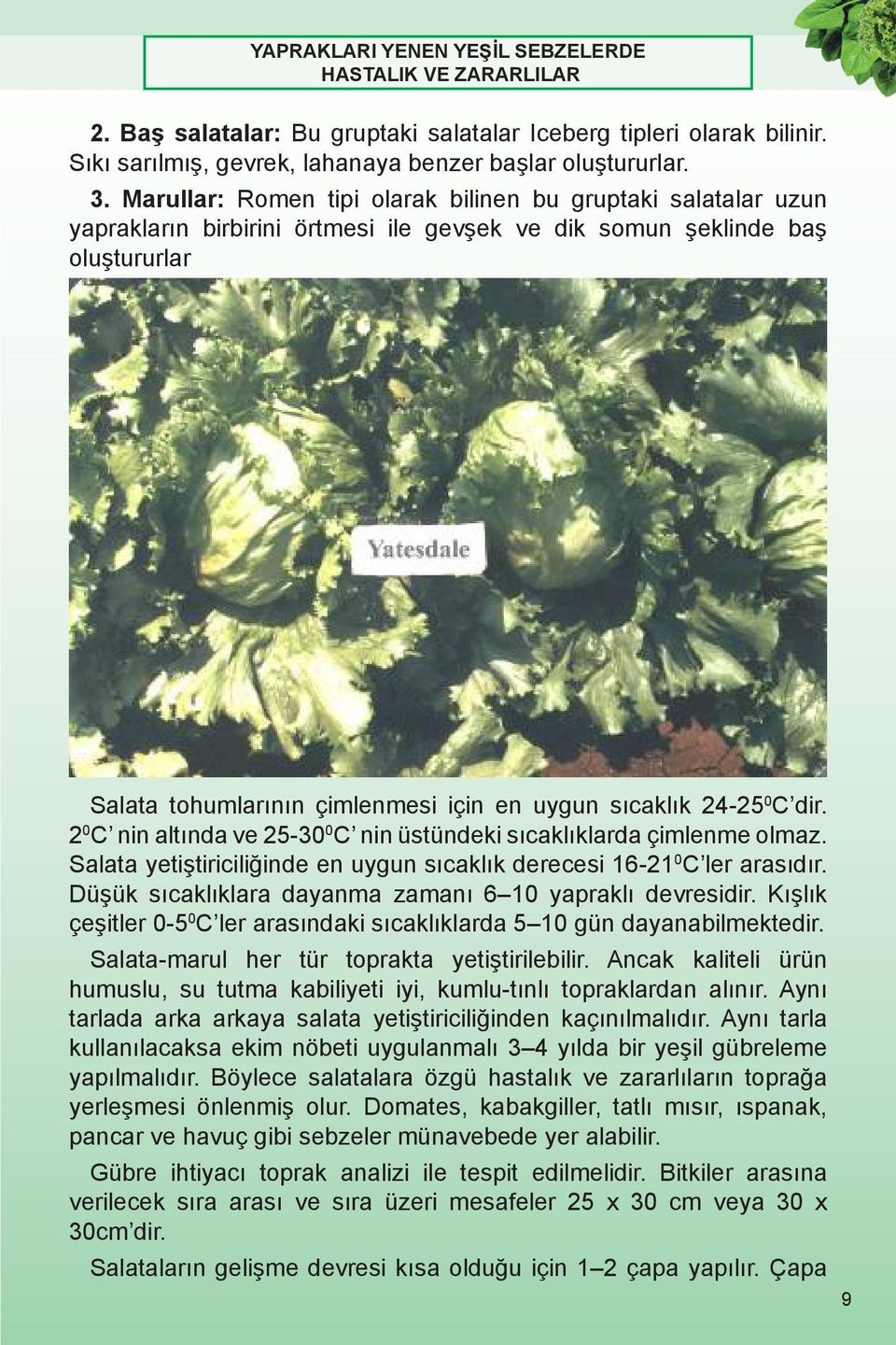 24-25 0 C dir. 2 0 C nin altında ve 25-30 0 C nin üstündeki sıcaklıklarda çimlenme olmaz. Salata yetiştiriciliğinde en uygun sıcaklık derecesi 16-21 0 C ler arasıdır.