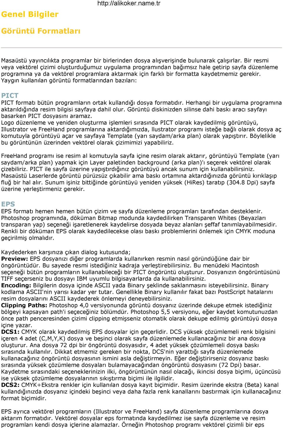 Yaygın kullanılan görüntü formatlarından bazıları: PICT PICT formatı bütün programların ortak kullandığı dosya formatıdır.