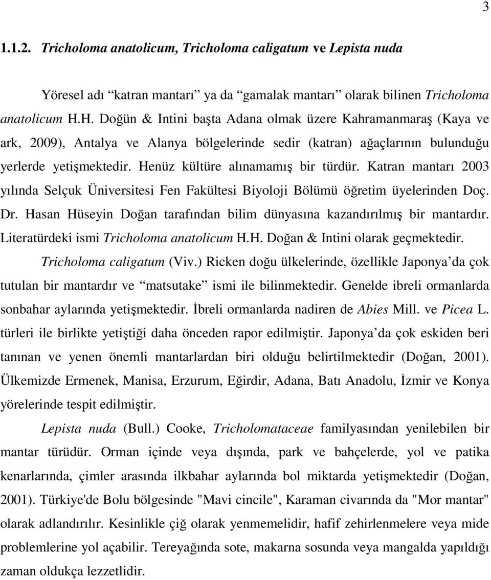 Henüz kültüre alınamamış bir türdür. Katran mantarı 2003 yılında Selçuk Üniversitesi Fen Fakültesi Biyoloji Bölümü öğretim üyelerinden Doç. Dr.