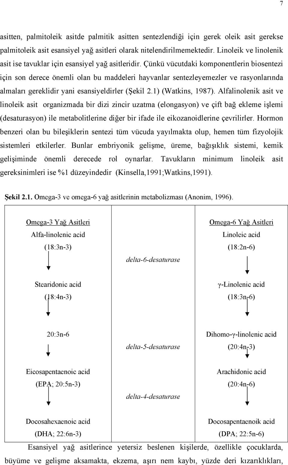 Çünkü vücutdaki komponentlerin biosentezi için son derece önemli olan bu maddeleri hayvanlar sentezleyemezler ve rasyonlarında almaları gereklidir yani esansiyeldirler (Şekil 2.1) (Watkins, 1987).