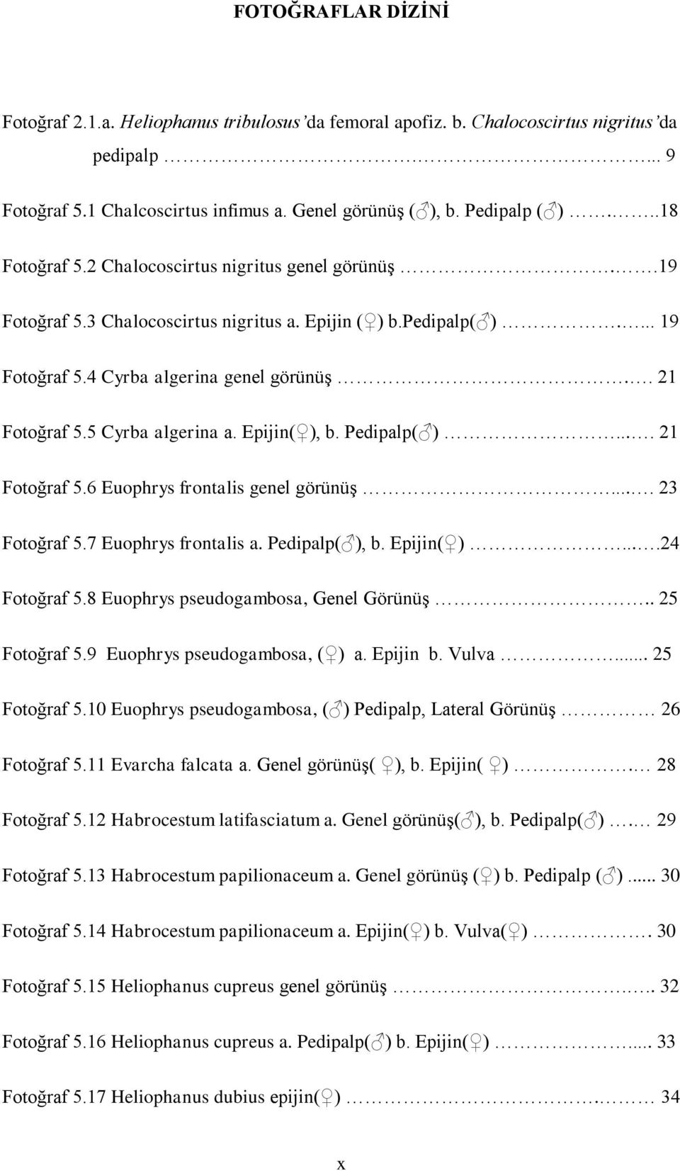 5 Cyrba algerina a. Epijin( ), b. Pedipalp( ).... 21 Fotoğraf 5.6 Euophrys frontalis genel görünüģ.... 23 Fotoğraf 5.7 Euophrys frontalis a. Pedipalp( ), b. Epijin( )....24 Fotoğraf 5.