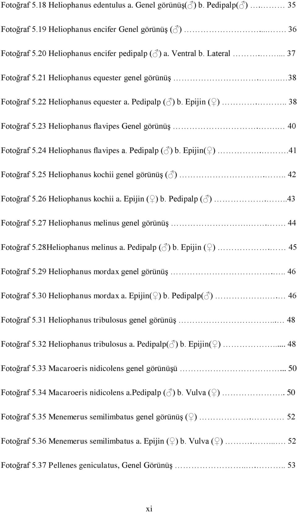 . 40 Fotoğraf 5.24 Heliophanus flavipes a. Pedipalp ( ) b. Epijin( )..41 Fotoğraf 5.25 Heliophanus kochii genel görünüģ ( )... 42 Fotoğraf 5.26 Heliophanus kochii a. Epijin ( ) b. Pedipalp ( )...43 Fotoğraf 5.