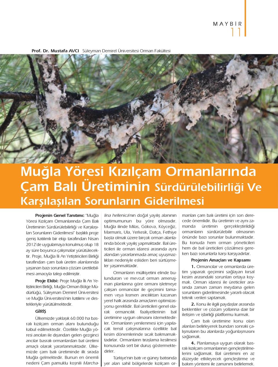 Muğla Yöresi Kızılçam Ormanlarında Çam Balı Üretiminin Sürdürülebilirliği ve Karşılaşılan Sorunların Giderilmesi başlıklı proje geniş katılımlı bir ekip tarafından Nisan 2012 de uygulamaya konulmuş