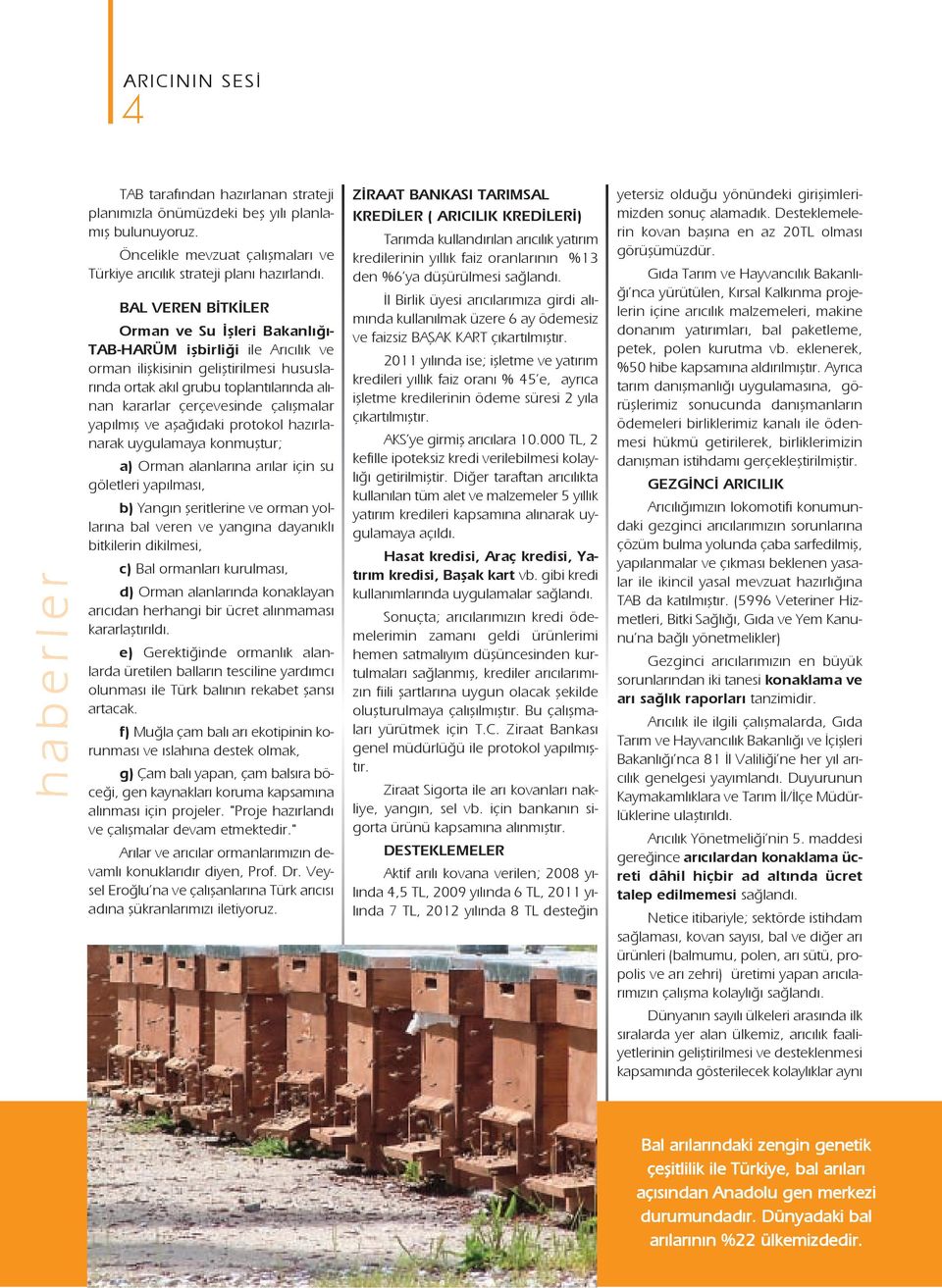 çalışmalar yapılmış ve aşağıdaki protokol hazırlanarak uygulamaya konmuştur; a) Orman alanlarına arılar için su göletleri yapılması, b) Yangın şeritlerine ve orman yollarına bal veren ve yangına