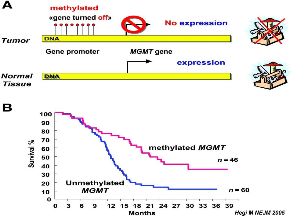 Astrocytoma R mpfs : 5.0 ay karşı 6.9 ay mos : 12.1 ay karşı 14.