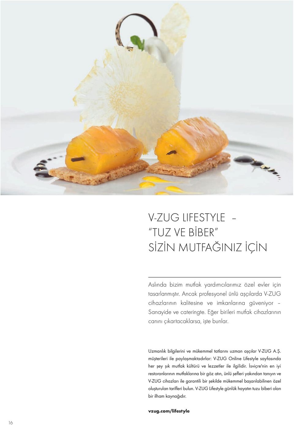 Uzmanlık bilgilerini ve mükemmel tatlarını uzman aşçılar V-ZUG A.Ş. müşterileri ile paylaşmaktadırlar: V-ZUG Online Lifestyle sayfasında her şey şık mutfak kültürü ve lezzetler ile ilgilidir.