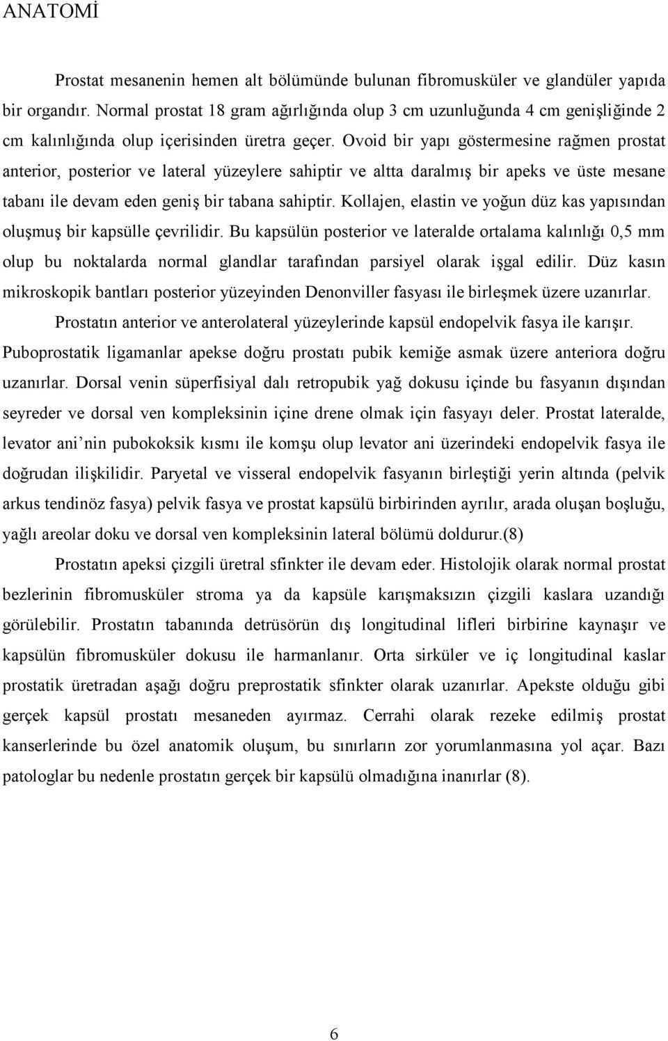 Ovoid bir yap göstermesine ramen prostat anterior, posterior ve lateral yüzeylere sahiptir ve altta daralm% bir apeks ve üste mesane taban ile devam eden geni% bir tabana sahiptir.