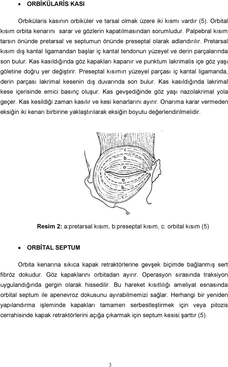 Kas kasıldığında göz kapakları kapanır ve punktum lakrimalis içe göz yaşı göletine doğru yer değiştirir.