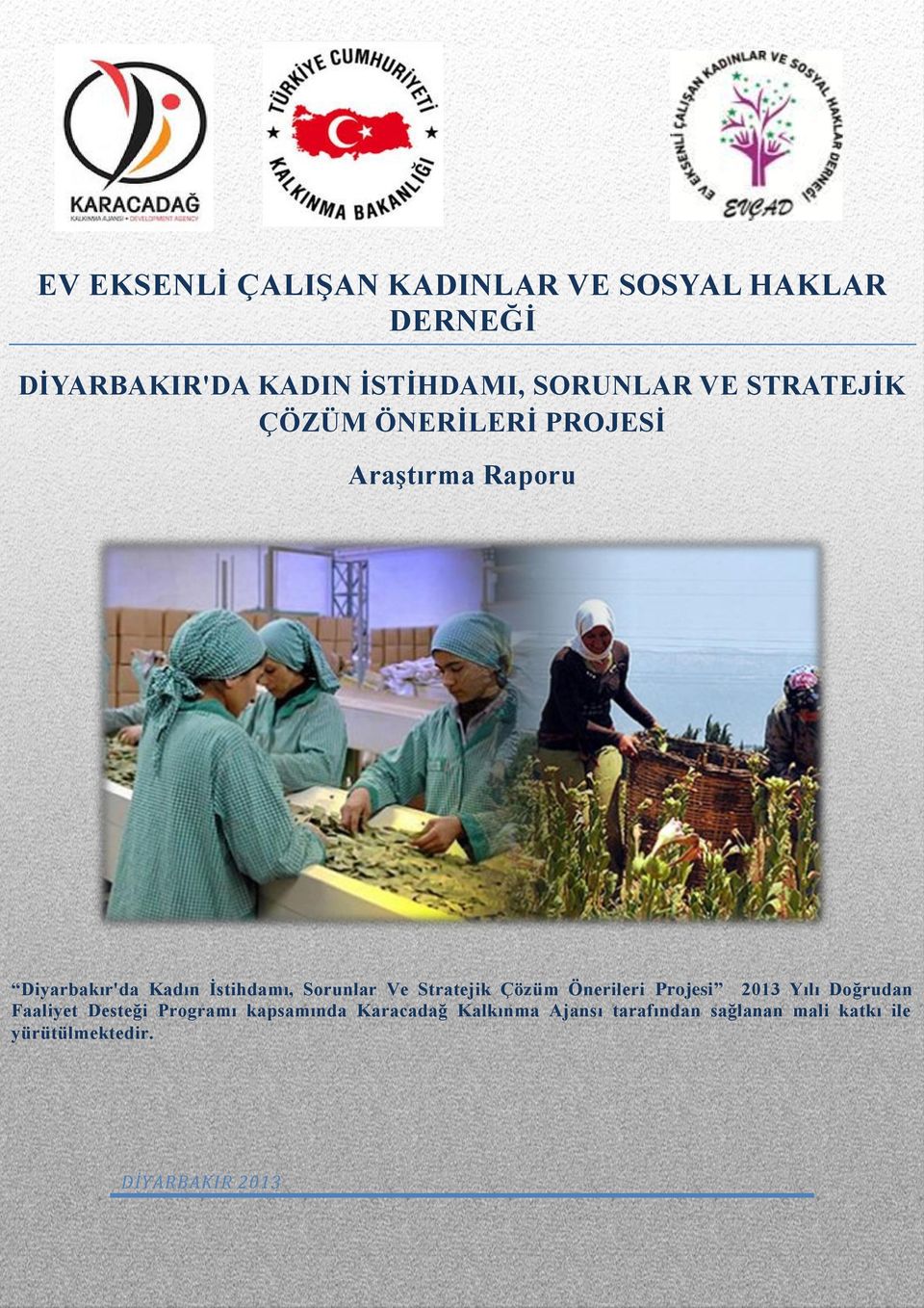 Ve Stratejik Çözüm Önerileri Projesi 2013 Yılı Doğrudan Faaliyet Desteği Programı kapsamında